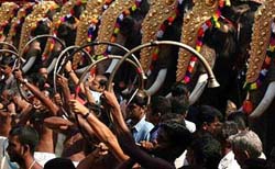 pooram3