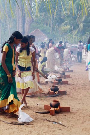 Ponkala Festival in Vazhappully Temple