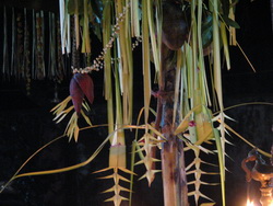 Guruthi Puja_7964