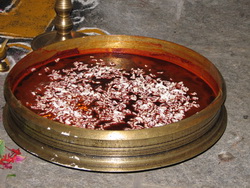 Guruthi Puja_7966