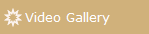 Video Gallery