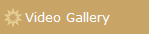 Video Gallery